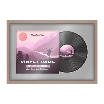 25X17" Rose Gold Modern Vinyl Record Frame With Silver Mount For Overlapped 12" LP Cover & Disc