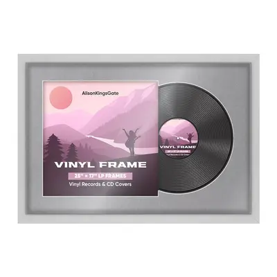 25X17" Silver Modern Vinyl Record Frame With Mid Grey Mount For Overlapped 12" LP Cover & Disc