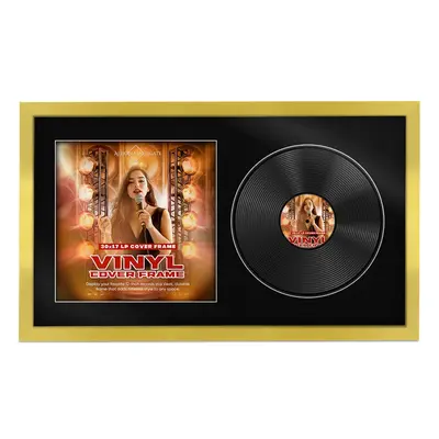 30X17" Gold Modern Sleek Vinyl Record Frame With Black Mount For Side-by-Side 12" LP Cover & Disc
