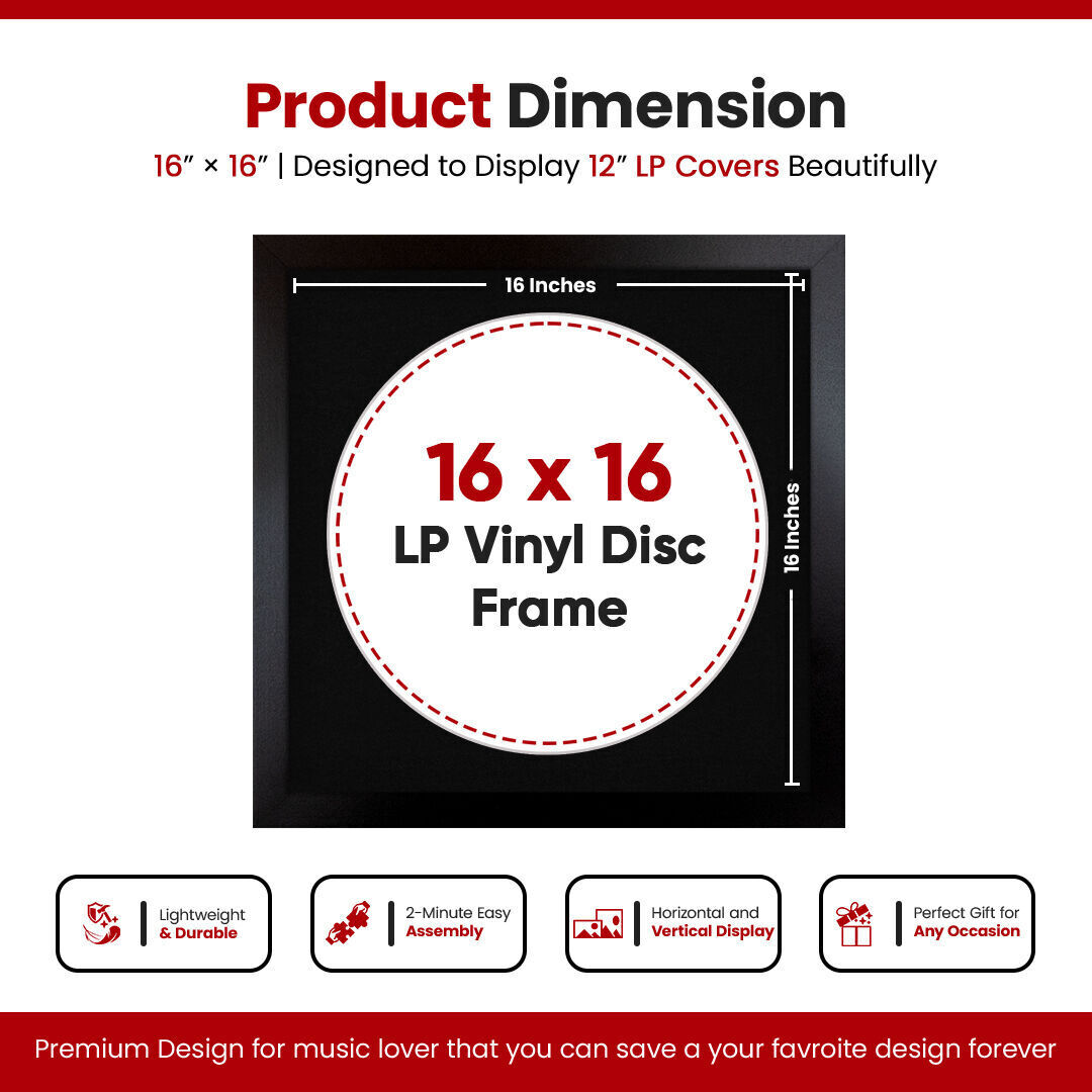 16X16" Mat Black Modern Vinyl Record Frame With Black Mount For 12 Inch LP Disc - Premium Vinyl Display