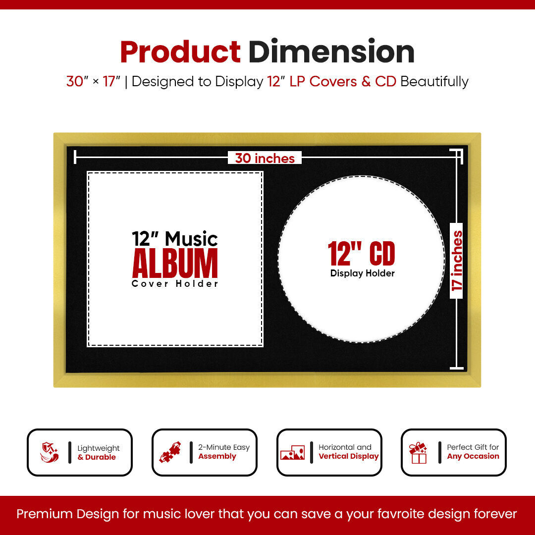 30X17" Gold Modern Sleek Vinyl Record Frame With Black Mount For Side-by-Side 12" LP Cover & Disc