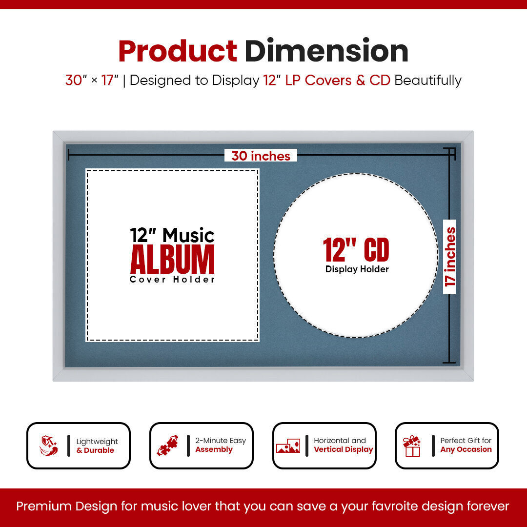 30X17" Silver Modern Sleek Vinyl Record Frame With Pompador Mount For Side-by-Side 12" LP Cover & Disc - Elegant Wall Display