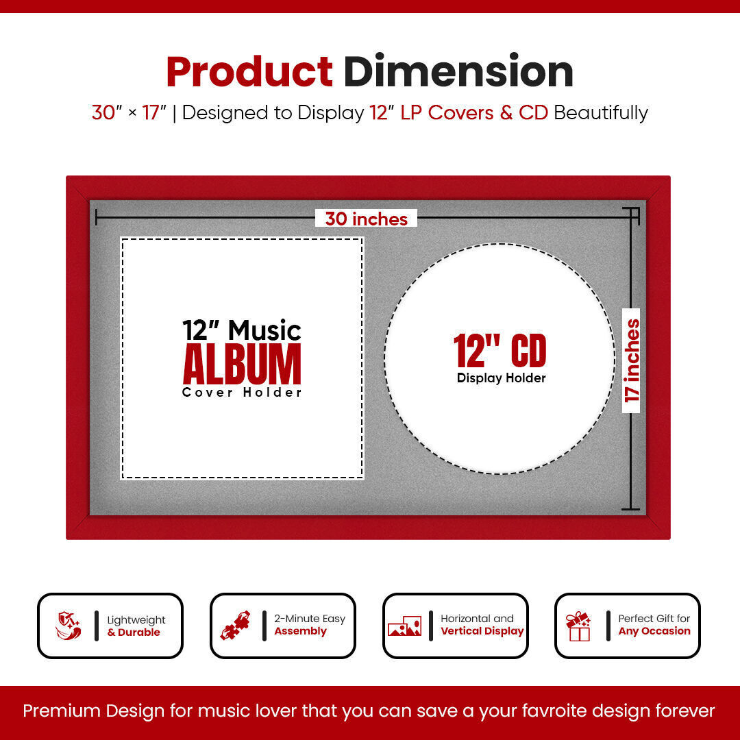 30X17"  Modern Vinyl Record Frame With Silver Mount For Side-by-Side 12" LP Cover & Disc