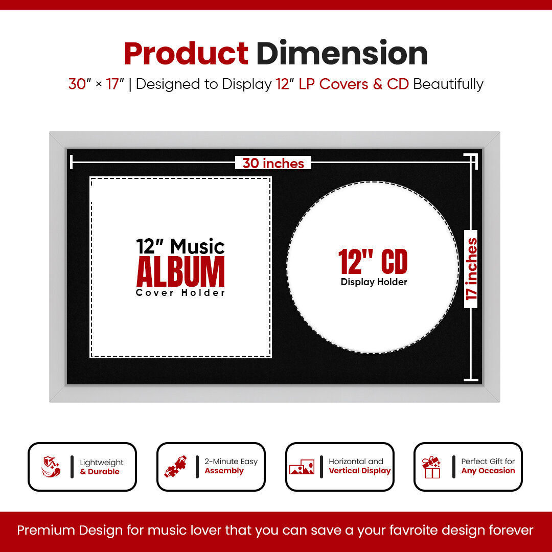 30X17" Silver Modern Vinyl Record Frame For Side-by-Side 12" LP Cover & Disc With Black Mount - For Music Lovers