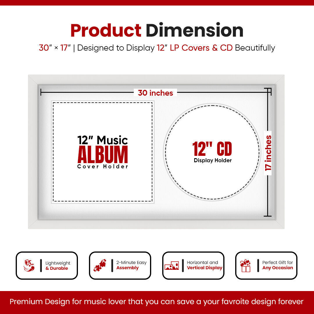 30X17" White Modern Vinyl Record Frame With Ice White Mount For Side-by-Side 12" LP Cover & Disc